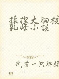 揉捏大胸校花的乳峰小说