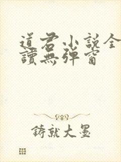 道君小说全文阅读无弹窗