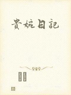 贵婉日记封面