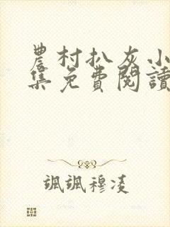 农村扒灰小说全集免费阅读封面