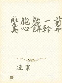 双胞胎一前一后夹心饼干年下封面