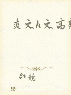 爽文h文高辣h