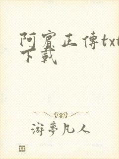 阿宾正传txt下载