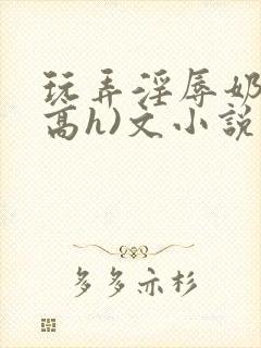 玩弄淫辱奶头(高h)文小说