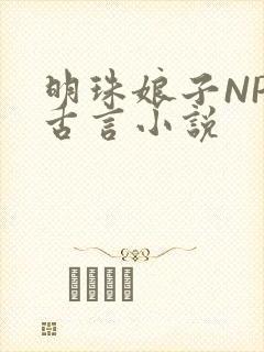 明珠娘子NPC古言小说
