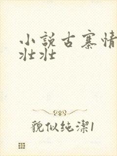 小说古寨情缘安壮壮