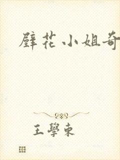 壁花小姐奇遇记