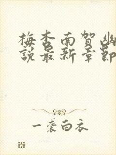 梅杏南贺幽寒小说最新章节更新