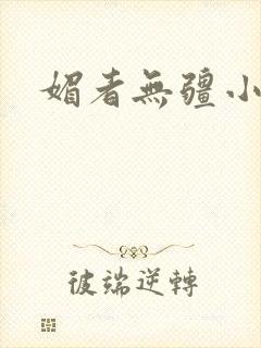 媚者无疆小说封面