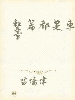 整篇都是车的文章