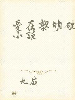 爱在黎明破晓前小说