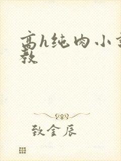 高h纯肉小说调教封面