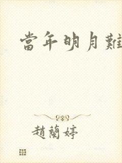 当年明月难寻封面