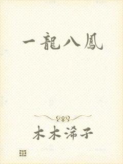 一龙八凤封面