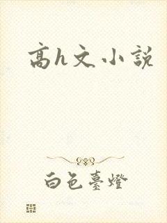 高h文小说