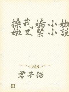 搡我娇小嫩苞又嫩又紧小说封面