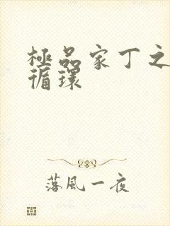 极品家丁之因果循环