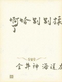 啊哈别别揉那处了