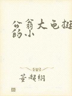 公翁大龟挺进我的小