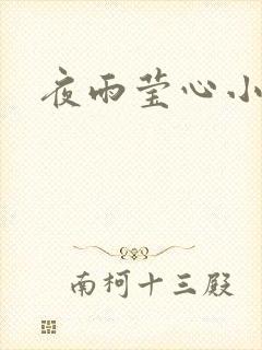 夜雨莹心小说
