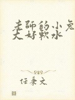 老师的小兔子好大好软水封面