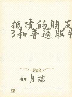 抵债的朋友麦子3和普通版对比