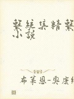 系统集精系统 小说