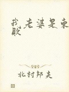 我老婆是东方不败封面