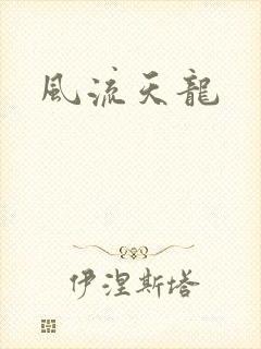 风流天龙
