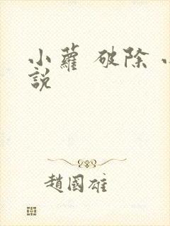 小萝 破除 小说