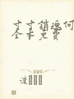 寸寸销魂何生祥全本免费