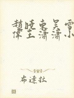 赵晓东吴雪晴郑伟王潇潇小说名字