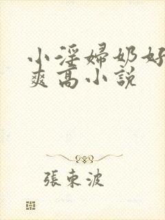小淫妇奶好大好爽高小说