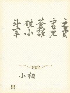 斗破苍穹之大主宰小说免费阅读全文封面