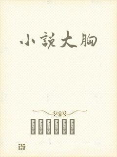 小说大胸