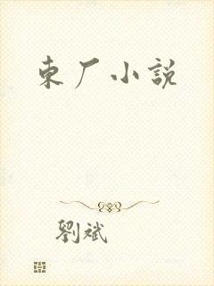 东厂小说封面
