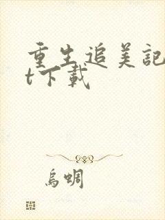 重生追美记txt下载