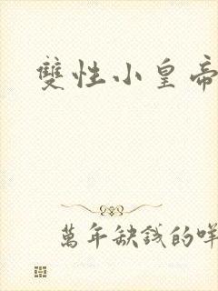 双性小皇帝封面