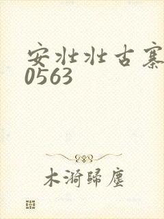 安壮壮古寨情缘0563