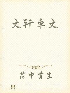 文轩车文