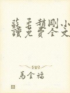 苏柔赵刚小说阅读免费全文封面