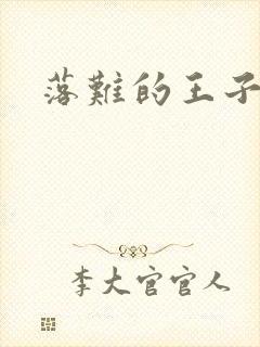 落难的王子封面