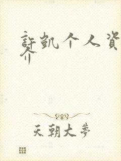 许凯个人资料简介