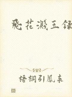 飞花溅玉录
