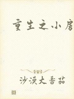 重生之小房东