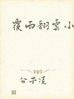 覆雨翻云小说封面