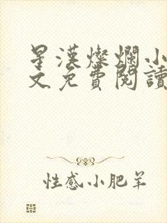 星汉灿烂小说全文免费阅读