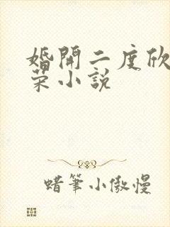 婚开二度欣欣向荣小说