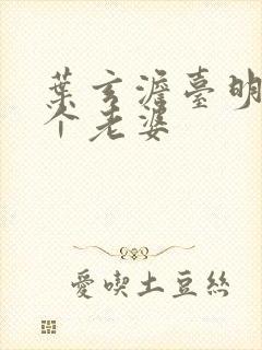 叶玄澹台明月几个老婆