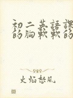 初二英语课代表的胸软软的